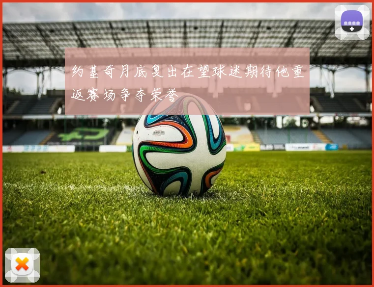 约基奇月底复出在望球迷期待他重返赛场争夺荣誉