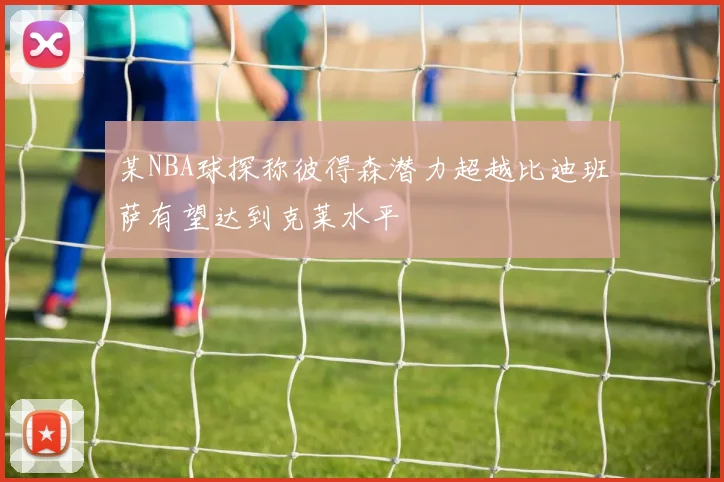 某NBA球探称彼得森潜力超越比迪班萨有望达到克莱水平