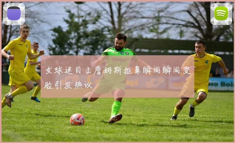 女球迷目击詹姆斯抠鼻瞬间瞬间变脸引发热议